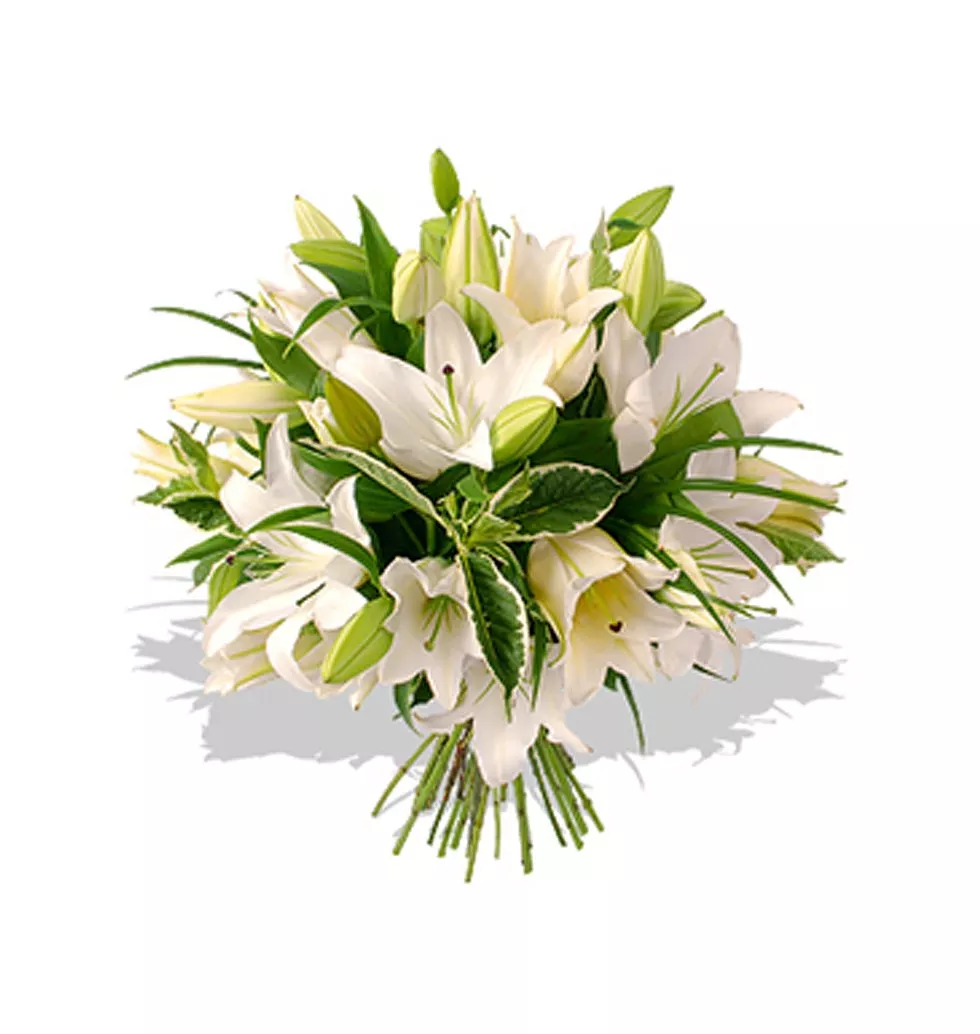 Elegant White Lily Bouquet Gift